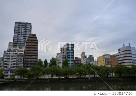 大阪市中の島の風景 大阪市中の島の風景 133034710