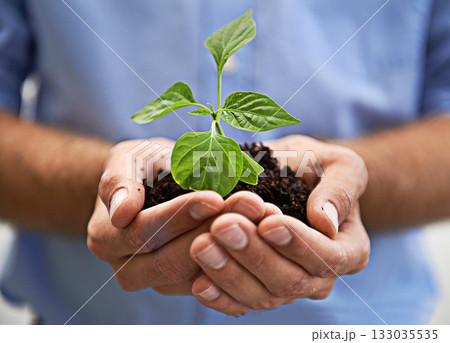 Soil, plants and hands of person, growth and sustainability of earth day, charity and investment. Sustainable world, care and closeup of leaf, sand and green future of hope, climate change and planet Soil, plants and hands of person, growth and sustainability of earth day, charity and investment. Sustainable world, care and closeup of leaf, sand and green future of hope, climate change and planet 133035535