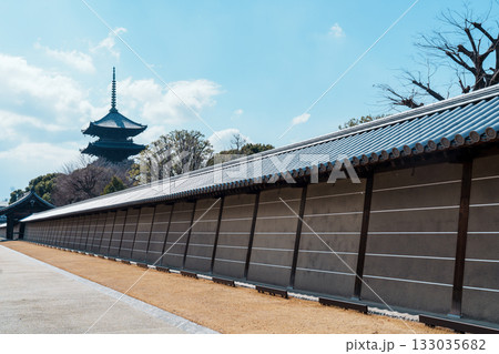 青空に映える東寺の五重塔 青空に映える東寺の五重塔 133035682