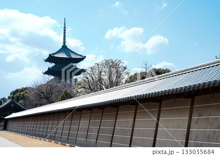 青空に映える東寺の五重塔 133035684