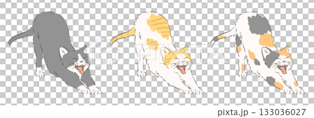 のびをする猫のイラストのセット(ハチワレ・茶白・三毛) のびをする猫のイラストのセット(ハチワレ・茶白・三毛) 133036027