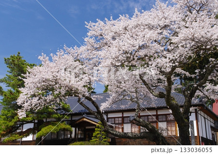 津金・三代校舎ふれあいの里・大正校舎と桜 133036055
