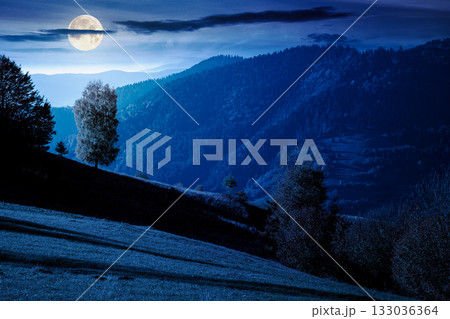 autumn mountain landscape at night. beautiful view of trees in fall foliage on the hillside. alps of countryside in full moon light under dark sky. scenery with scary forest on slope autumn mountain landscape at night. beautiful view of trees in fall foliage on the hillside. alps of countryside in full moon light under dark sky. scenery with scary forest on slope 133036364