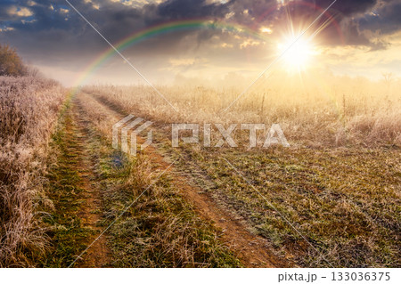 autumn landscape with dirt road through rural field in hoarfrost and fog at sunset. beautiful mountain countryside in evening light. frosty weather under rainbow. abandoned area needs investment 133036375