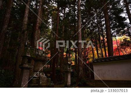 紅葉が美しい寺の山門 紅葉が美しい寺の山門 133037013