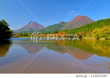 志高湖の紅葉2025 133037047