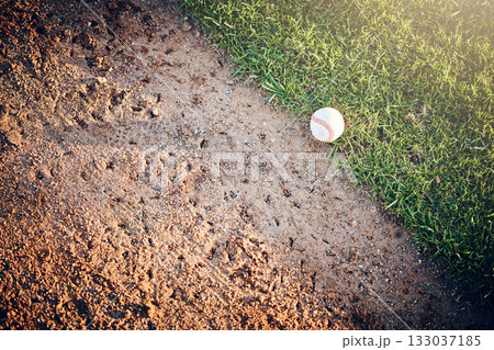 Sports mockup, baseball and ball on grass for game, practice and competition outdoors. Fitness, sport copy space and softball equipment on field ground for exercise, training and workout for match 133037185