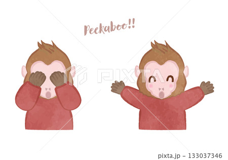 かわいい猿のいないいないばぁ 133037346
