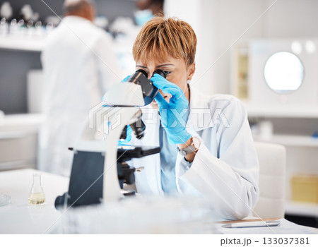 Healthcare, microscope and science with black woman in laboratory for experiment, medical and pharmacy. Research, medicine and results with expert looking for pathology, test and sample analysis 133037381