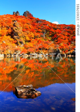 秋の大船山御池（くじゅう連山・大分県竹田市・縦構図） 133037691