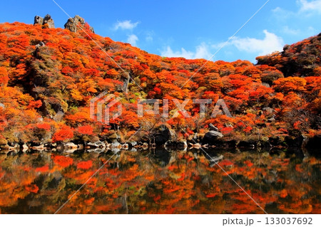 秋の大船山御池（くじゅう連山・大分県竹田市） 133037692