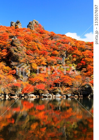 秋の大船山御池（くじゅう連山・大分県竹田市・縦構図） 133037697