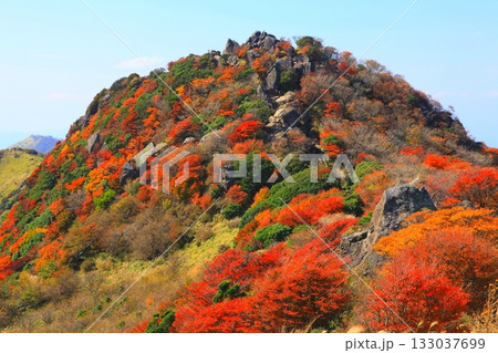 秋の沓掛山（くじゅう連山・大分県九重町） 133037699