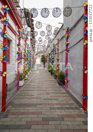 Vibrant flower-themed alleyway in Penang decorated for a local festival celebration Vibrant flower-themed alleyway in Penang decorated for a local festival celebration 133037722