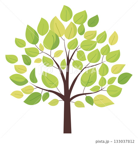 Green tree isolated on white background. Vector illustration. 133037812
