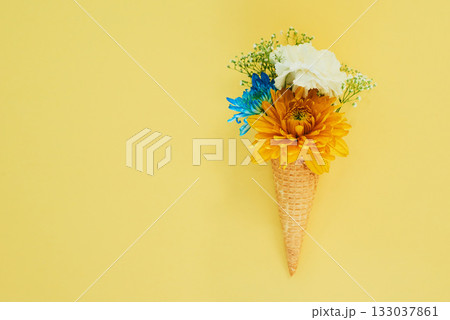 Flowers ice cream in a cone in studio for creative, art or decoration with fresh and colorful bouquet. Creativity, still life and floral plants in a dessert isolated by yellow background with mockup. 133037861