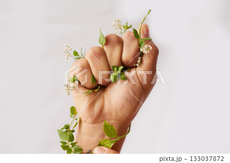 Hand, nature growth and holding fist for eco warrior, fight and revolution for sustainability protest. White background, studio and person with leaf and green plant in hands for environment rally 133037872
