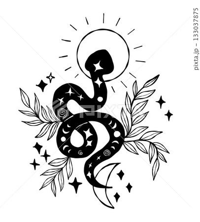 Mystical Snake with Sun, Moon and Plants...のイラスト素材 [133037875] - PIXTA