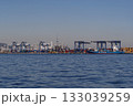 中央防波堤外側コンテナターミナル 133039259
