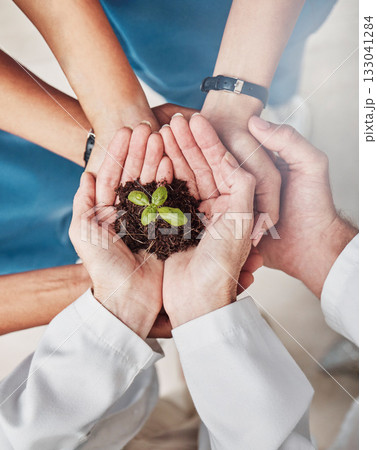 Group, hands support and seedling plant for doctors, teamwork or growth in medical career with mission. Doctor, nurse and top view of hand circle for solidarity, healthcare or team building for trust 133041284