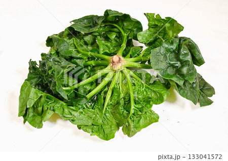 縮みほうれん草 133041572