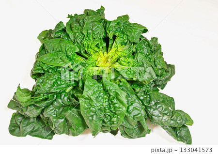 縮みほうれん草 133041573