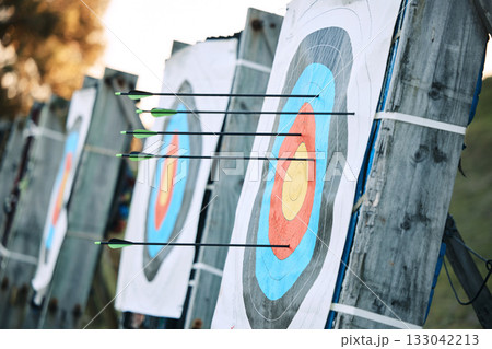 Arrows in archery circle or target for competition, game or learning in field outdoor for sports background. Sport event, icon or eye goal with arrow on board for gaming, adventure and shooting Arrows in archery circle or target for competition, game or learning in field outdoor for sports background. Sport event, icon or eye goal with arrow on board for gaming, adventure and shooting 133042213