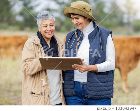 Vet, cow or senior farmer with checklist for animals healthcare wellness or agriculture on grass field. Happy people working in countryside barn farming steak meat livestock or cattle beef production Vet, cow or senior farmer with checklist for animals healthcare wellness or agriculture on grass field. Happy people working in countryside barn farming steak meat livestock or cattle beef production 133042947
