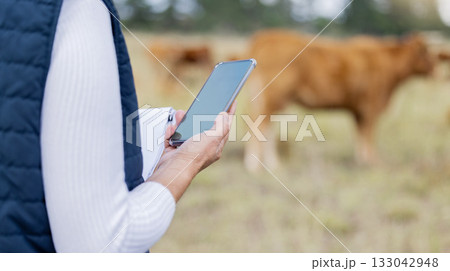 Hands, phone or veterinarian on farm to check cattle livestock wellness or animals natural environment. Website, internet data or person reading news or networking online to protect cows healthcare Hands, phone or veterinarian on farm to check cattle livestock wellness or animals natural environment. Website, internet data or person reading news or networking online to protect cows healthcare 133042948