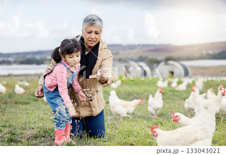 Family, farming and chicken, grandmother and child on farm in Mexico, feeding livestock with poultry and agriculture. Senior woman, girl and farmer on field in countryside, nutrition and sustainable Family, farming and chicken, grandmother and child on farm in Mexico, feeding livestock with poultry and agriculture. Senior woman, girl and farmer on field in countryside, nutrition and sustainable 133043021