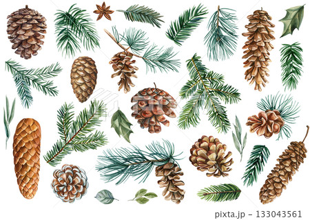 Watercolor pine cones, evergreen branches realistic forest botanical set natural woodland winter elements for seasonal decoration 133043561