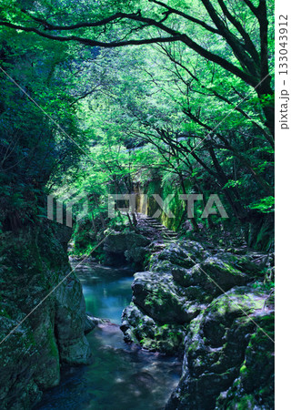 仙波渓谷 133043912