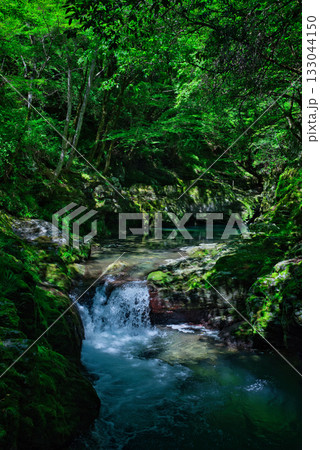 仙波渓谷 133044150