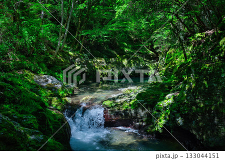 仙波渓谷 仙波渓谷 133044151