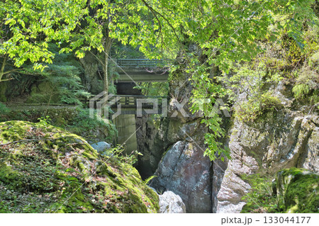 仙波渓谷 133044177