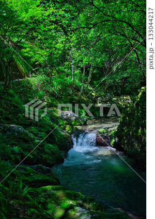 仙波渓谷 133044217