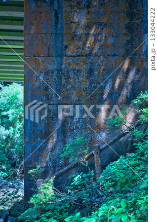 仙波渓谷の登り口 133044222