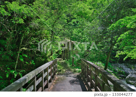 仙波渓谷の峡乃橋 133044277