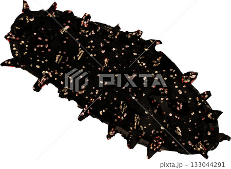 なまこのイラスト 133044291