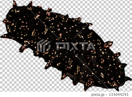 なまこのイラスト 133044291