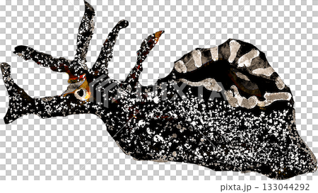 海兔插圖 133044292