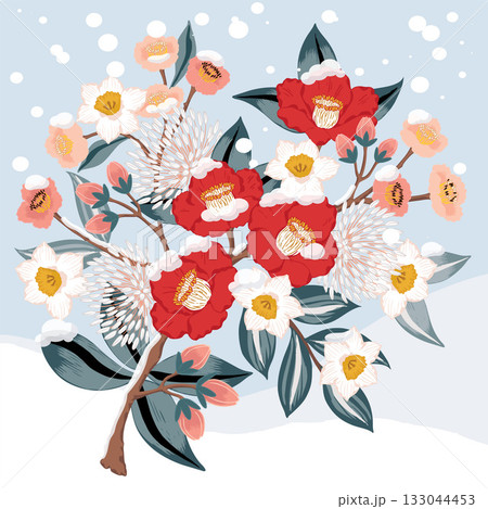 Korean January Flowers Vector Illustration of Winter Blooms: Camellia, Plum Blossom, and Narcissus Korean January Flowers Vector Illustration of Winter Blooms: Camellia, Plum Blossom, and Narcissus 133044453