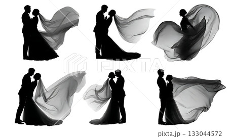 Bride with Flowing Veil and Groom Silhouette Set 133044572
