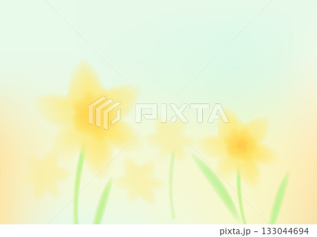 Soft yellow daffodil flower background for spring design 133044694