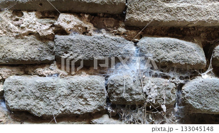 Old fort wall covered with natural spider cobwebs Old fort wall covered with natural spider cobwebs 133045148