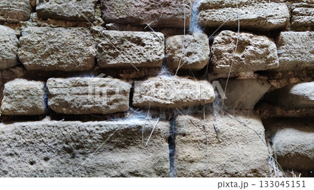 Silent heritage wall of fort with thin spider threads 133045151