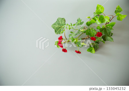 Bright small red roses on contrasting gray background Bright small red roses on contrasting gray background 133045232