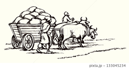 Vector drawing. Ancient cart with cows Vector drawing. Ancient cart with cows 133045234