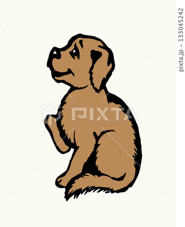 Cute small dog. Vector drawing. Cute small dog. Vector drawing. 133045242