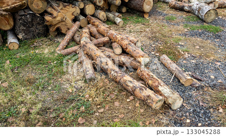 Pile of pine lumber. Logs of sawn pine closeup. Logging. Tree trunks lie on the ground. Pile of pine lumber. Logs of sawn pine closeup. Logging. Tree trunks lie on the ground. 133045288